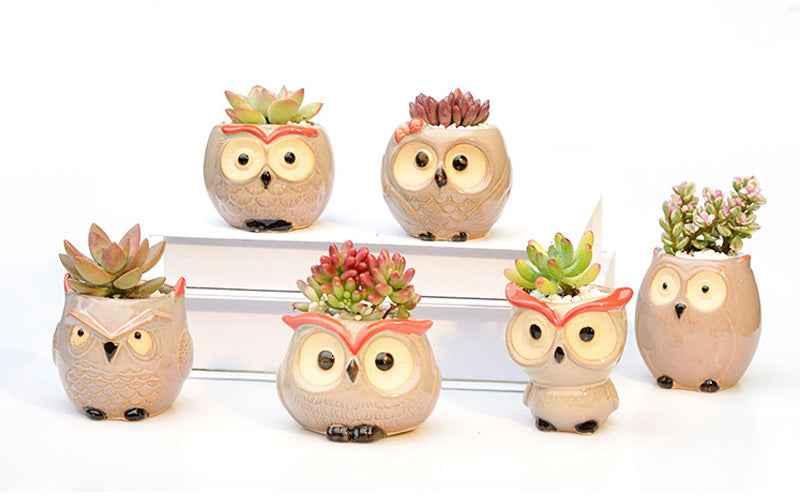 Ceramic Owl Flower Pot Garden Office Decoration Succulent Mini Owl Flowerpot Cute Animal Flowerpot Cactus Plants Planters by DSERS