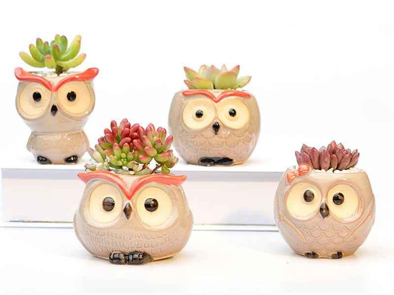 Ceramic Owl Flower Pot Garden Office Decoration Succulent Mini Owl Flowerpot Cute Animal Flowerpot Cactus Plants Planters by DSERS