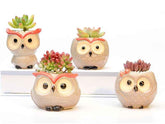 Ceramic Owl Flower Pot Garden Office Decoration Succulent Mini Owl Flowerpot Cute Animal Flowerpot Cactus Plants Planters by DSERS