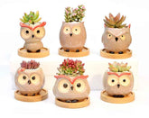 Ceramic Owl Flower Pot Garden Office Decoration Succulent Mini Owl Flowerpot Cute Animal Flowerpot Cactus Plants Planters by DSERS