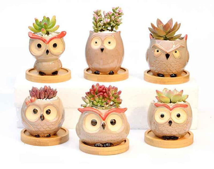 Ceramic Owl Flower Pot Garden Office Decoration Succulent Mini Owl Flowerpot Cute Animal Flowerpot Cactus Plants Planters by DSERS