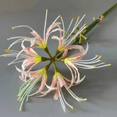 60cm Artificial Higanbana Flower Branch Handmade by DSERS