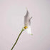 5pcs PU Alocasia Calla Lily Artificial Flowers Diy Wedding Decor Bride Holding Bouquet Calla Home Party Design Business Floral by DSERS