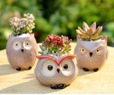 Ceramic Owl Flower Pot Garden Office Decoration Succulent Mini Owl Flowerpot Cute Animal Flowerpot Cactus Plants Planters by DSERS