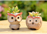Ceramic Owl Flower Pot Garden Office Decoration Succulent Mini Owl Flowerpot Cute Animal Flowerpot Cactus Plants Planters by DSERS