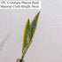 Aritificial Snake Plant Home Decorations Wedding Supply School Eucalyptus Plant by DSERS