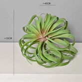 Artificial Green Plant Air Grass Succulent Miniature Potted Garden for Outdoor Desktop Living Room Home Decor by DSERS