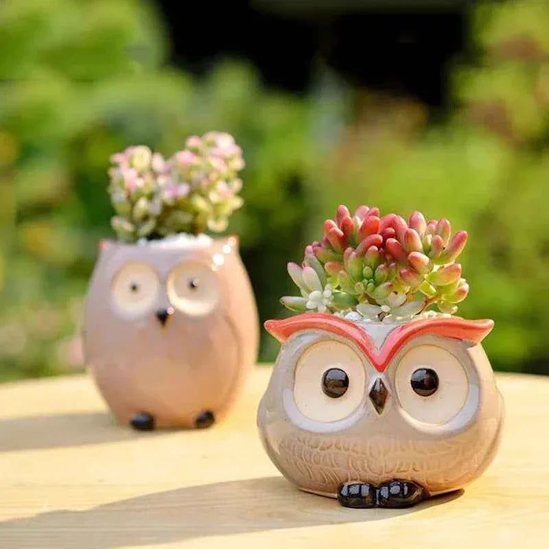 Ceramic Owl Flower Pot Garden Office Decoration Succulent Mini Owl Flowerpot Cute Animal Flowerpot Cactus Plants Planters by DSERS