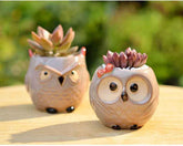 Ceramic Owl Flower Pot Garden Office Decoration Succulent Mini Owl Flowerpot Cute Animal Flowerpot Cactus Plants Planters by DSERS