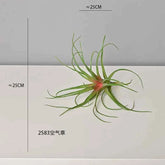 Artificial Green Plant Air Grass Succulent Miniature Potted Garden for Outdoor Desktop Living Room Home Decor by DSERS