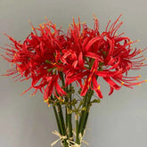 60cm Artificial Higanbana Flower Branch Handmade by DSERS