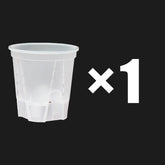 Premium Clear Desktop Resin Flower Pot, Transparent Nurturing Your Green Plants - Suitable for Placing Orchids by DSERS