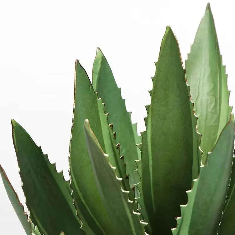 Artificial Aloe Vera Fake Succulents Simulated Agave Green Tropical Leaves by DSERS