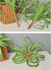 Artificial Green Plant Air Grass Succulent Miniature Potted Garden for Outdoor Desktop Living Room Home Decor by DSERS