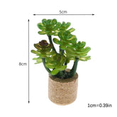 1:12 Dollhouse Simulation Flower Plant Potted Model Doll Home Miniature Green Plants Garden Decor Micro Landscape Ornament by DSERS