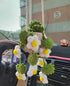 Handmade Crochet Car Styling Plants Succulent Car Plant Ornamentos Decoration Interior Accersories Cute Gift for Women by DSERS