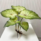 Large Lotus Leaves with Roots Plant Artificial Green Home Landscape Garden Decor Simulation Plants Wedding Party Table Decor by DSERS