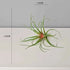 Artificial Green Plant Air Grass Succulent Miniature Potted Garden for Outdoor Desktop Living Room Home Decor by DSERS