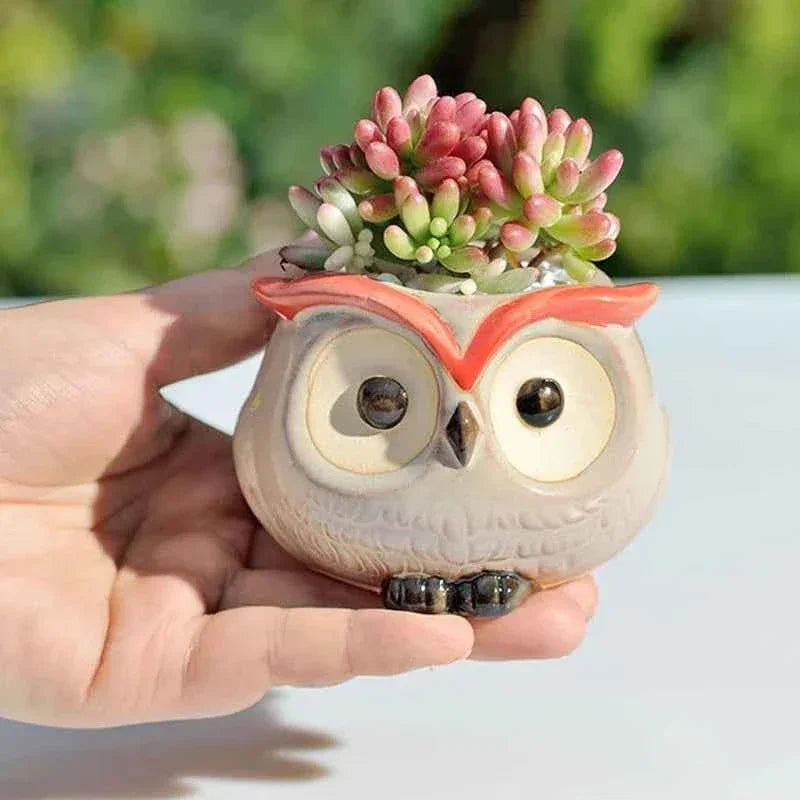 Ceramic Owl Flower Pot Garden Office Decoration Succulent Mini Owl Flowerpot Cute Animal Flowerpot Cactus Plants Planters by DSERS