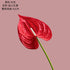 10Pc/lot PU Artificial Flowers Anthurium Bridal Bouquet Wedding Decoration Fake Palm Flowers Home Party Table Floral Arrangement by DSERS