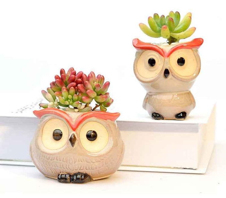 Ceramic Owl Flower Pot Garden Office Decoration Succulent Mini Owl Flowerpot Cute Animal Flowerpot Cactus Plants Planters by DSERS