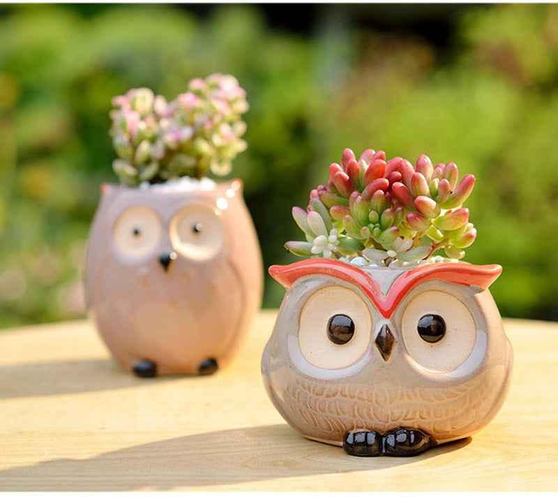 Ceramic Owl Flower Pot Garden Office Decoration Succulent Mini Owl Flowerpot Cute Animal Flowerpot Cactus Plants Planters by DSERS