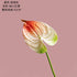 10Pc/lot PU Artificial Flowers Anthurium Bridal Bouquet Wedding Decoration Fake Palm Flowers Home Party Table Floral Arrangement by DSERS