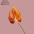 10Pc/lot PU Artificial Flowers Anthurium Bridal Bouquet Wedding Decoration Fake Palm Flowers Home Party Table Floral Arrangement by DSERS