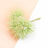 Artificial Plants for Home Wedding Decoration Silk Flowers for Scrapbooking Fake Plastic Decorative Christmas Wreat by DSERS