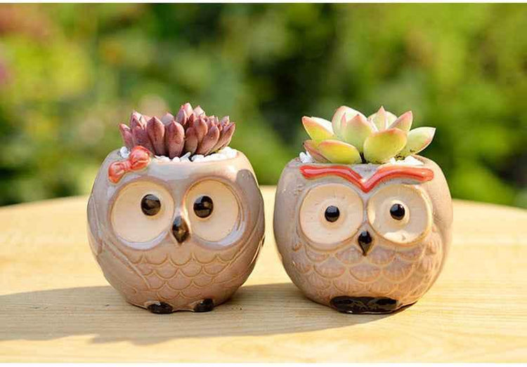 Ceramic Owl Flower Pot Garden Office Decoration Succulent Mini Owl Flowerpot Cute Animal Flowerpot Cactus Plants Planters by DSERS