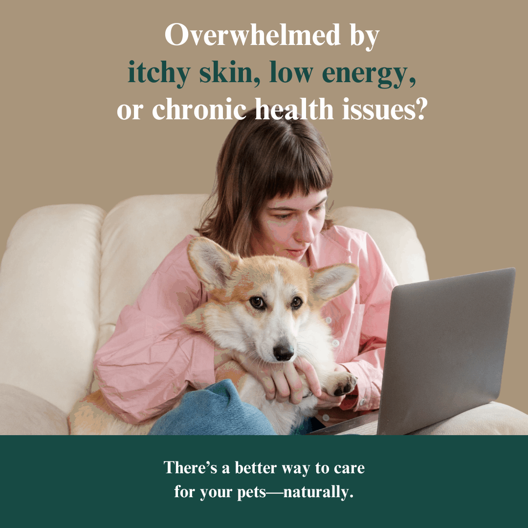 Whole Pet Wellness Academy: The Pet Parent Holistic Health Toolkit DIY Holistic Health Course by Dr. Ruth Roberts
