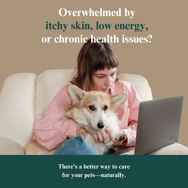 Whole Pet Wellness Academy: The Pet Parent Holistic Health Toolkit DIY Holistic Health Course by Dr. Ruth Roberts
