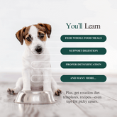 Whole Pet Wellness Academy: The Pet Parent Holistic Health Toolkit DIY Holistic Health Course by Dr. Ruth Roberts