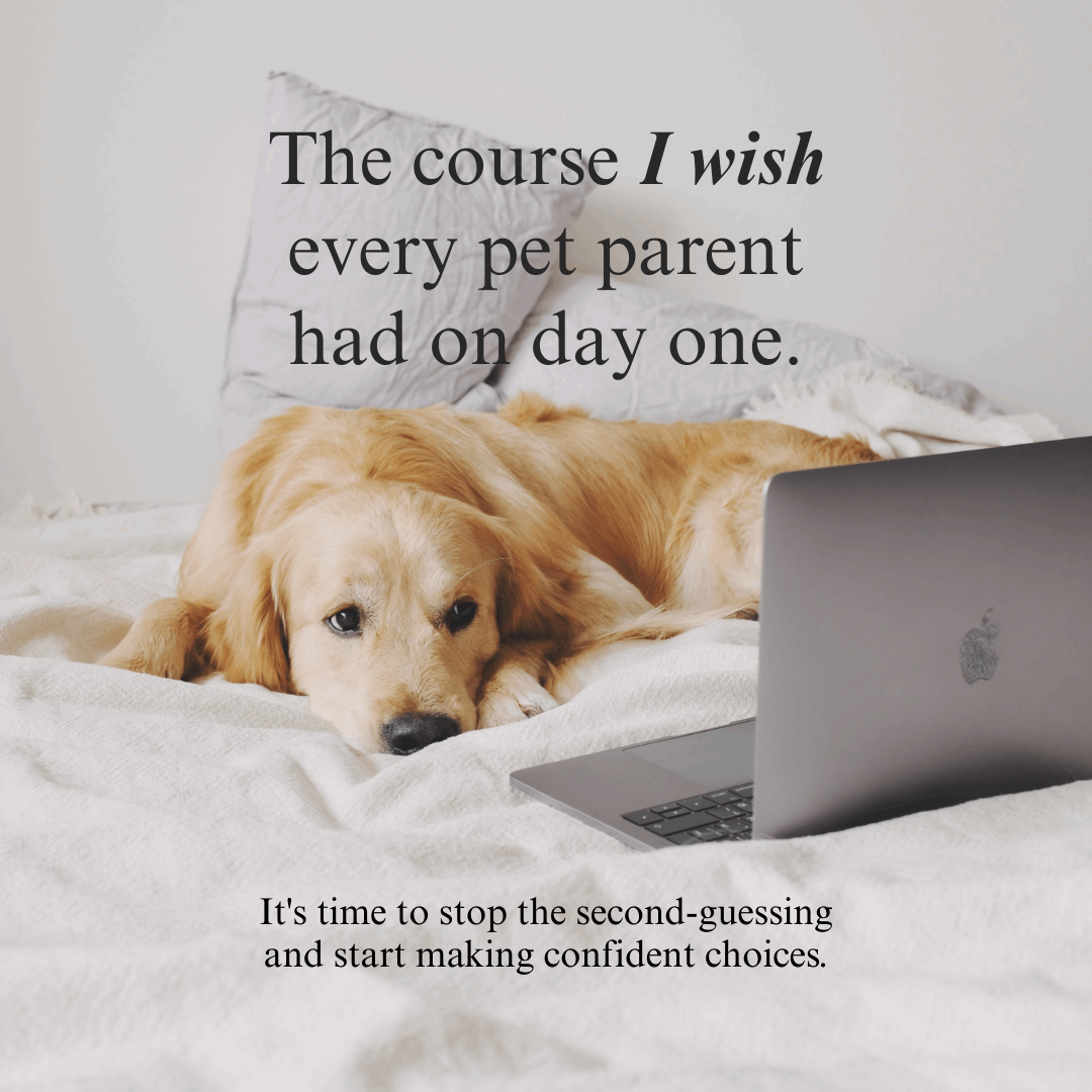 Whole Pet Wellness Academy: The Pet Parent Holistic Health Toolkit DIY Holistic Health Course by Dr. Ruth Roberts