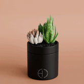 Beach Bungalow Candle Refill - GiFiFY
