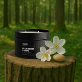 Secluded Cabin Candle Refill Candle Tin by Hidden Candles