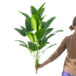 Artificial Bird of Paradise Plant in White Pot Large Tropical Artificial Bird of Paradise Tropical Artificial Plastic Palm Plant Artificial Flowers by Kmitang Official Store