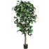 Artificial Ficus Silk Tree in Black Pot fake trees by House Nice Store
