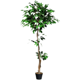Artificial Ficus Silk Tree in Black Pot fake trees by House Nice Store