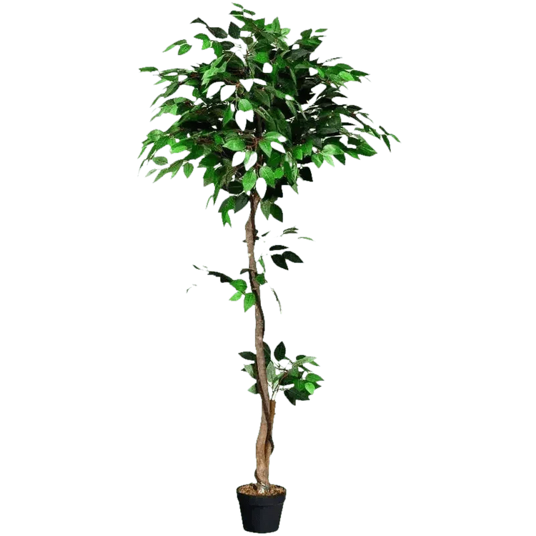 Artificial Ficus Silk Tree in Black Pot fake trees by House Nice Store