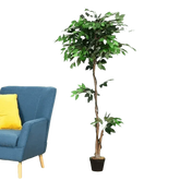 Artificial Ficus Silk Tree in Black Pot fake trees by House Nice Store