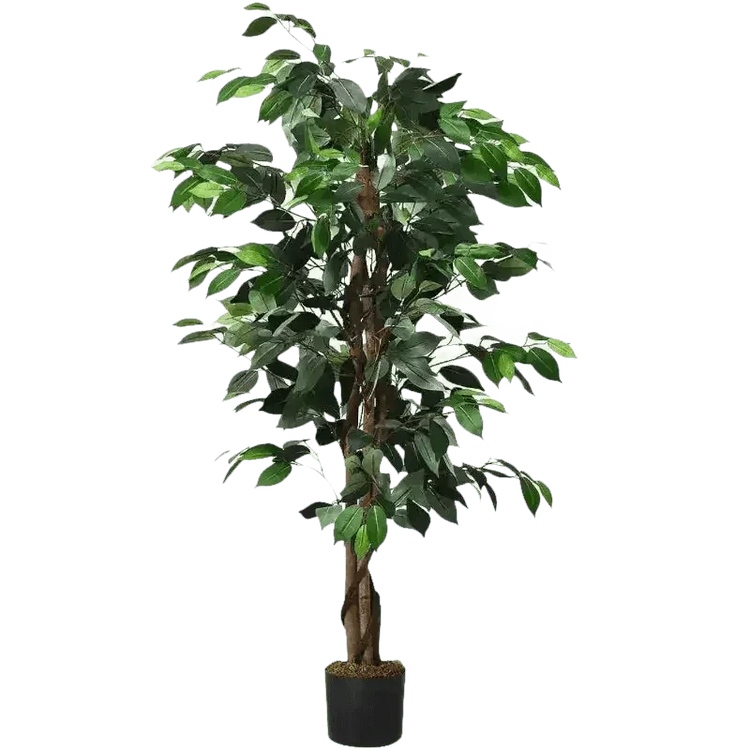 Artificial Ficus Silk Tree in Black Pot fake trees by House Nice Store