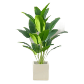 Artificial Tropical Palm Tree in White Pot Palm Tree by Shop1103268110 Store