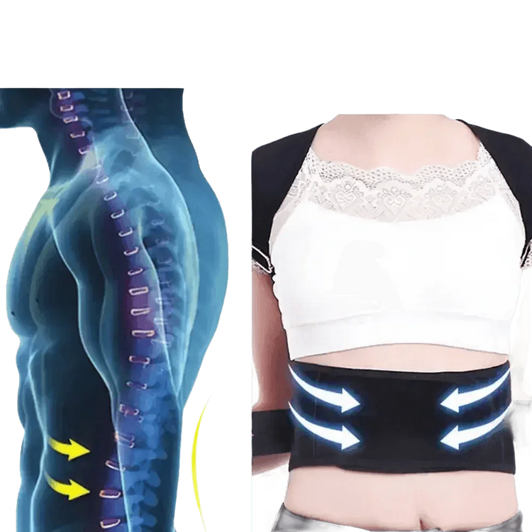 Black Posture Corrector Belt Back Posture Corrector by Shop1102472294 Store