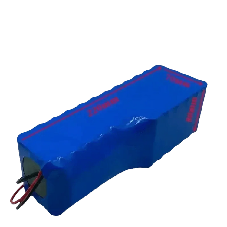 Blue 24V 80Ah Scooter Battery Pack Ebike Battery by Shop1104057570 Store