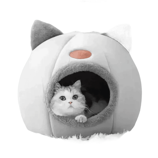 Cat in Gray Cat Bed Myliketpets Shop Small Pet Basket Cat Beds by Mascota Store