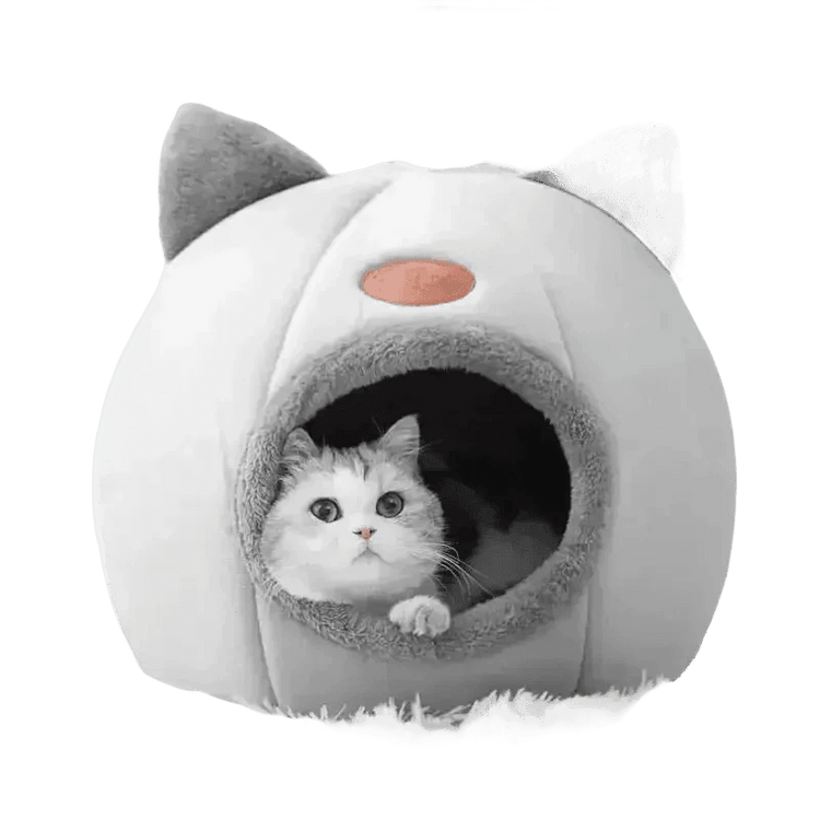 Cat in Gray Cat Bed Myliketpets Shop Small Pet Basket Cat Beds by Mascota Store
