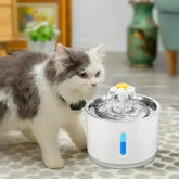 Daisy Nozzle Pet Cat Water Fountain Stainless Steel Pet Water Fountain by DSERS