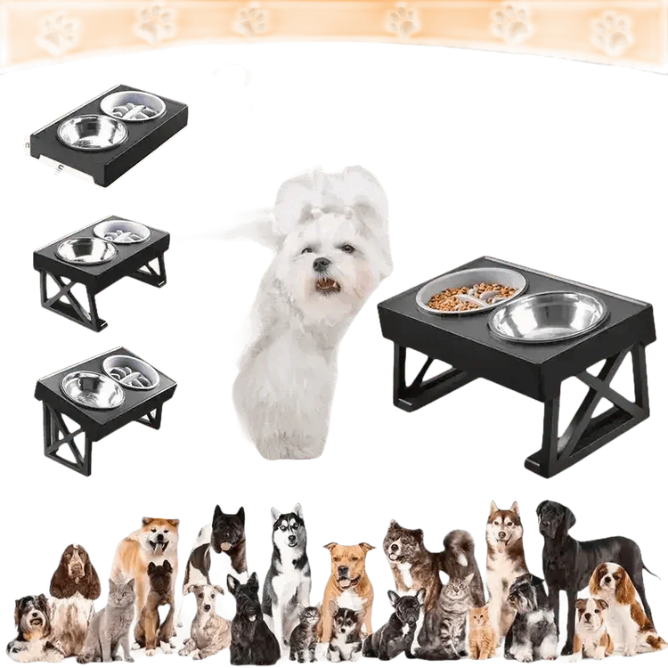 Elevated Bowls Stand for Pets Adjustable Height Dog Elevated Bowls Double Elevated Bowls Stand Pet Products by Shop1103847883 Store