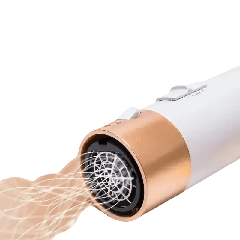 Gold and Rose Hair Dryer Hot Comb by XMSJ Hair Styling Store